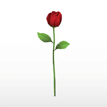 Fresh Red Rose